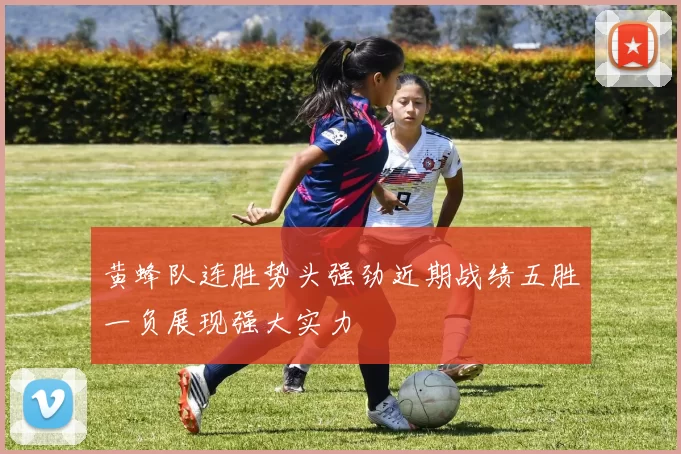 黄蜂队连胜势头强劲近期战绩五胜一负展现强大实力